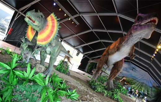 Imagen descriptiva del evento 'Discovering Dinosaurs'